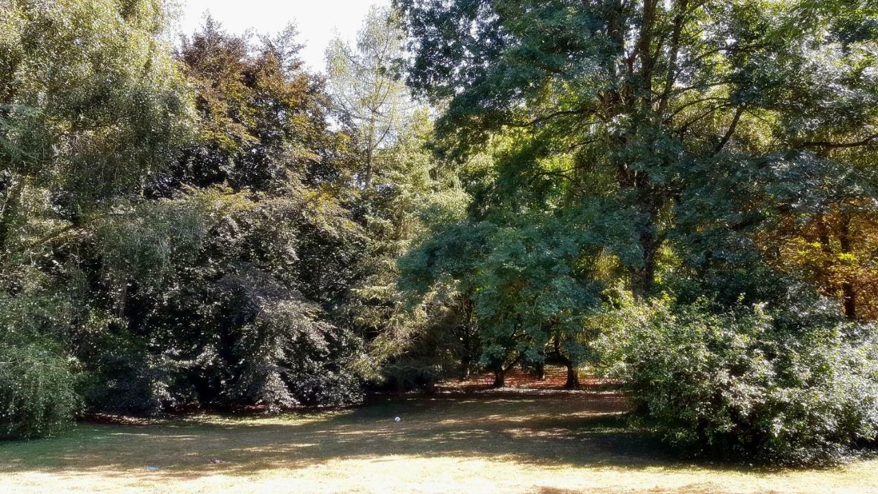 Au Clos Du Coteau, Chambres D'Hotes Crotelles Eksteriør bilde